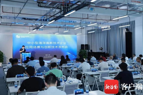 中小型高新技術(shù)企業(yè)應(yīng)用場景與創(chuàng)新技術(shù)發(fā)布會在三亞舉辦